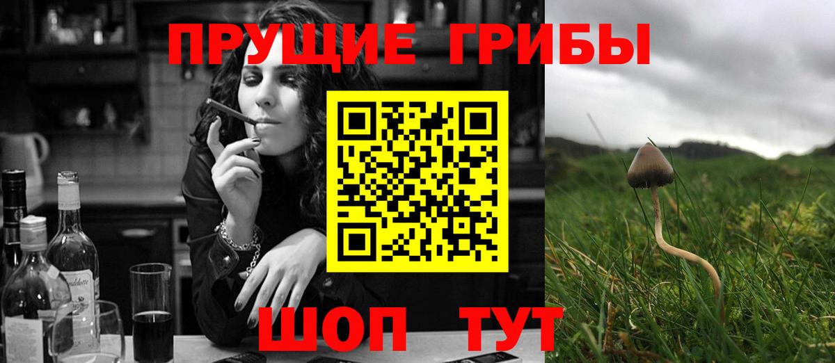 Псилоцибиновые грибы Magic Shrooms Дальнегорск